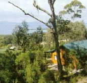 Partridge Farm - Lightning Ridge Tourism