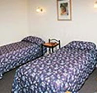 Mt Lyell Motor Inn - Lightning Ridge Tourism