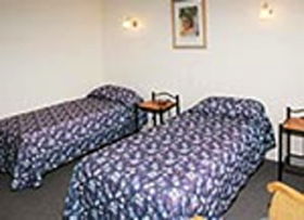 Mt Lyell Motor Inn - Lightning Ridge Tourism 0