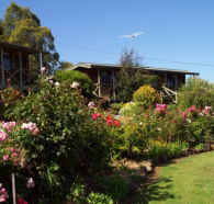 Mole Creek Holiday Village - Lightning Ridge Tourism