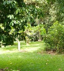 Kingfisher Park Birdwatchers Lodge - Lightning Ridge Tourism 0