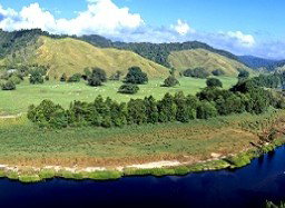 Tranquility On The Daintree - Lightning Ridge Tourism 2