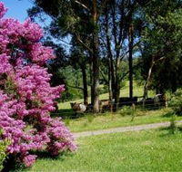 Figlea Cottages - Lightning Ridge Tourism