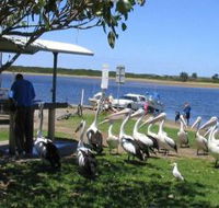 Mountain View Caravan and Mobile Home Village - Lightning Ridge Tourism