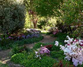 Wombat Hill Bed And Breakfast - Lightning Ridge Tourism 0