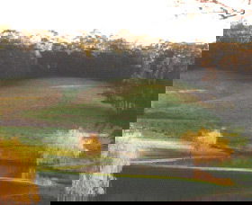 Ferngrove Estate - Lightning Ridge Tourism 0