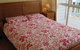 Bellbird Beach House - thumb 2