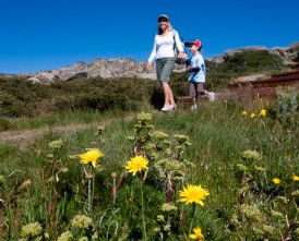 Horizons Apartment 407 - Lightning Ridge Tourism 0