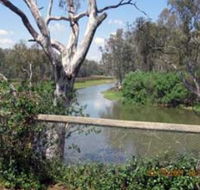 The Shanty Waterside Cottages - Lightning Ridge Tourism
