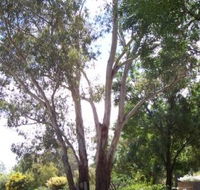 The Church House B and B - Lightning Ridge Tourism