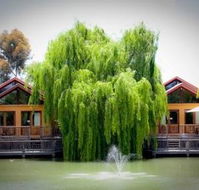 Perricoota Vines Retreat - Lightning Ridge Tourism