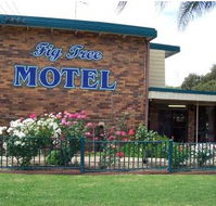 Fig Tree Motel - Lightning Ridge Tourism