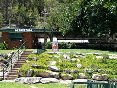 Carinya Ski Ranch - Lightning Ridge Tourism 4