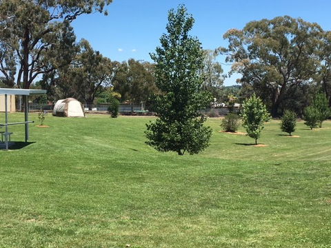 Canobolas Caravan Park - Lightning Ridge Tourism 3