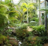 Chamomile Bed and Breakfast - Lightning Ridge Tourism