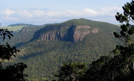 Arborlee Rainforest Retreat - Lightning Ridge Tourism 3