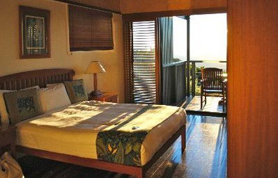 OReillys Rainforest Retreat - Lightning Ridge Tourism 2