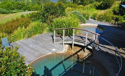 OReillys Rainforest Retreat - Lightning Ridge Tourism 4