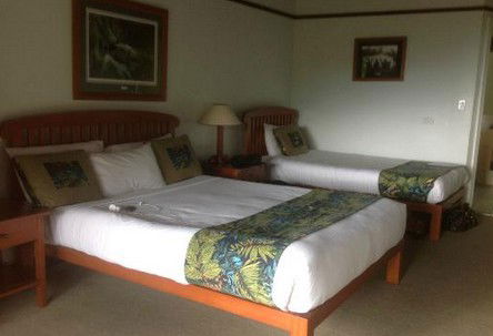 OReillys Rainforest Retreat - Lightning Ridge Tourism 5