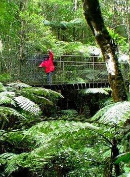 Katandra Mountain Farm House - Lightning Ridge Tourism 2