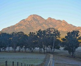 Barney Creek Vineyard Cottages - Lightning Ridge Tourism 5