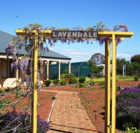 Lavendale Farmstay and Cottages - Lightning Ridge Tourism