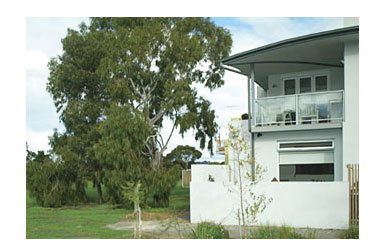 ParkSide Stay - Lightning Ridge Tourism 0