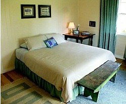 Blue House Family Accommodation - Lightning Ridge Tourism 1