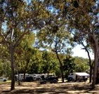 Barracrab Caravan Park - Lightning Ridge Tourism