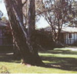 Winbi River Resort - Lightning Ridge Tourism