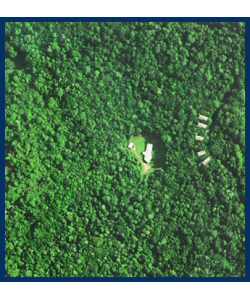 The Canopy Treehouses - Lightning Ridge Tourism 2