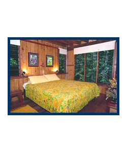 The Canopy Treehouses - Lightning Ridge Tourism 3