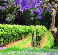 Bago Vineyards - Lightning Ridge Tourism