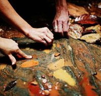Daintree Eco Lodge And Spa - Lightning Ridge Tourism
