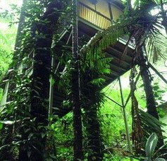 Daintree Eco Lodge And Spa - Lightning Ridge Tourism 1