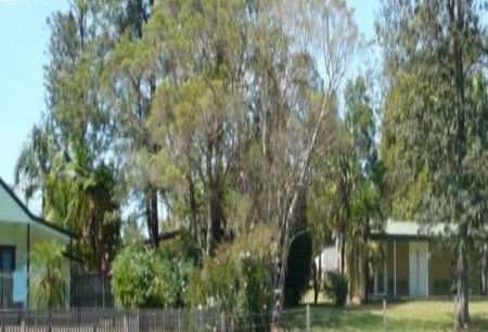 Nimbin NSW Lightning Ridge Tourism