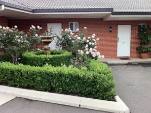 Akuna Motor Inn - Lightning Ridge Tourism 4