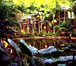 Daintree Eco Lodge And Spa - Lightning Ridge Tourism 3