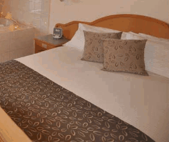 Barossa Weintal Hotel Motel - Lightning Ridge Tourism 1