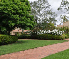 Barossa Weintal Hotel Motel - Lightning Ridge Tourism 2