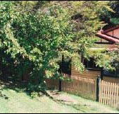Apple Tree Cottage - Lightning Ridge Tourism