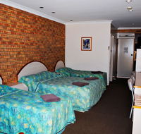 Albert Park Motor Inn - Lightning Ridge Tourism