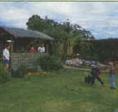 Tambo Lodge - Lightning Ridge Tourism