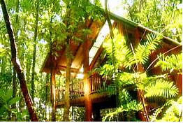 The Canopy Treehouses - Lightning Ridge Tourism 0