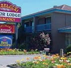 Strzelecki Motor Lodge - Lightning Ridge Tourism