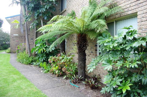 Beachfront Units Merimbula - Lightning Ridge Tourism 3