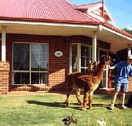 Brilea Cottages - Lightning Ridge Tourism