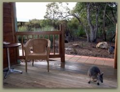 Kangaroo Island Wilderness Resort - Lightning Ridge Tourism 1