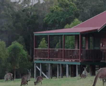 Walpole Wilderness Resort - Lightning Ridge Tourism