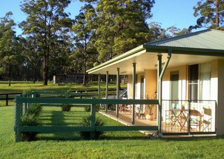 Neds Bed Horse O Tel - Lightning Ridge Tourism 1